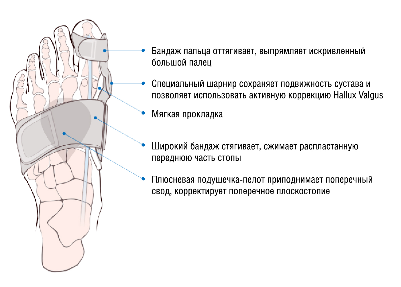 Профилактика заболевания и борьба на начальных стадиях